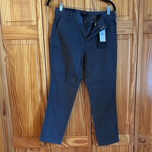 Banana Republic Women’s Charcoal Chinos